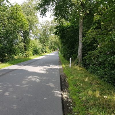 Bild vergr&ouml;&szlig;ern: Radweg K 41 Appeln - Frelsdorf