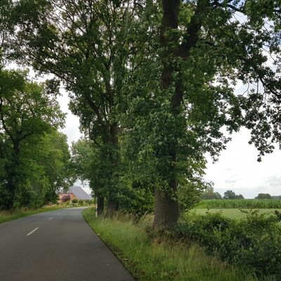 Bild vergr&ouml;&szlig;ern: Radweg K 41 Appeln - Frelsdorf