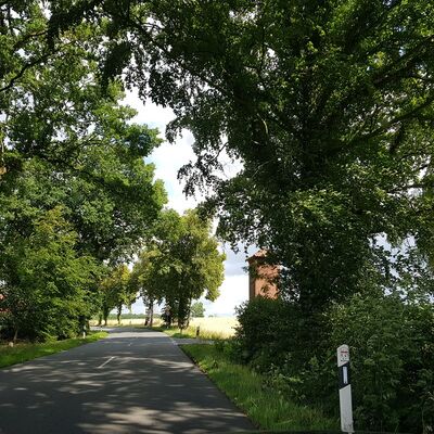 Bild vergr&ouml;&szlig;ern: Radweg K 41 Appeln - Frelsdorf