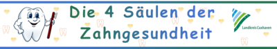 4 S&auml;ulen der Zahngesundheit