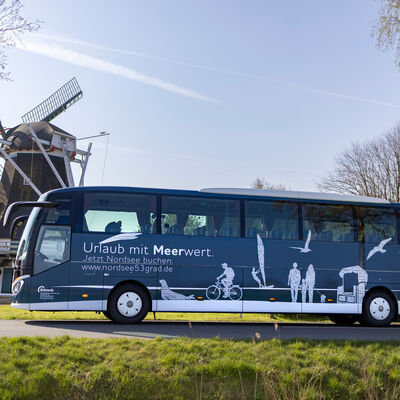 Bild vergr&ouml;&szlig;ern: Reisebus in Werdum vor einer M&uuml;hle